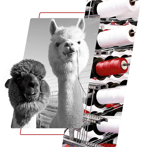 Fire de poliester vopsită